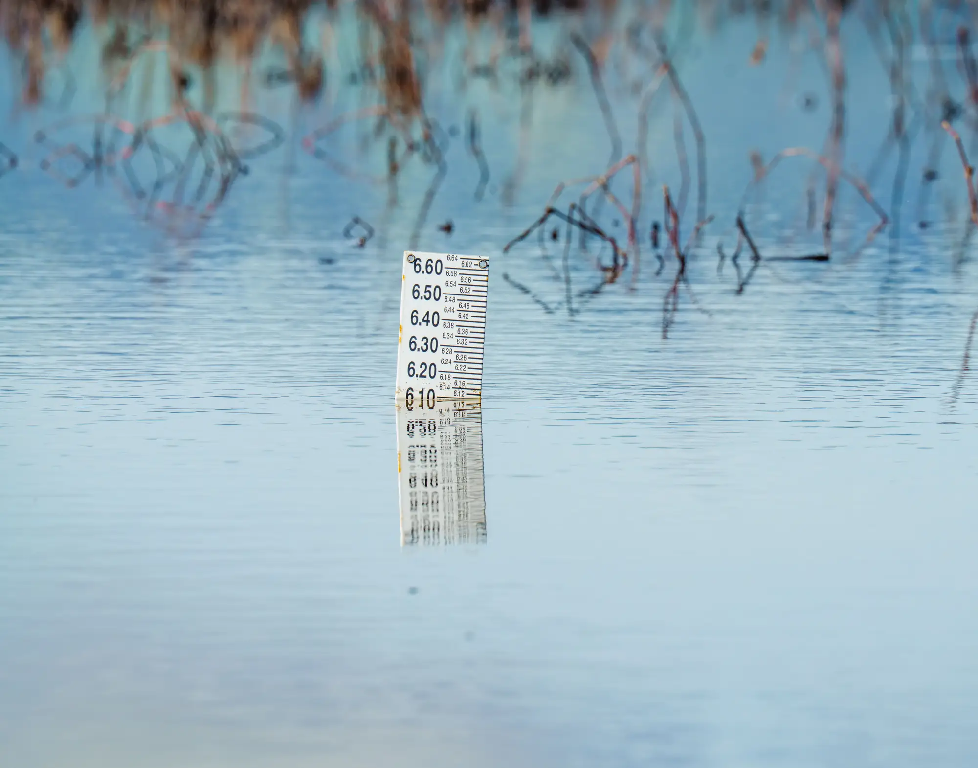 A staff gauge standing in still floodwater, its markings reflected in the surface